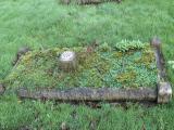 image of grave number 550031